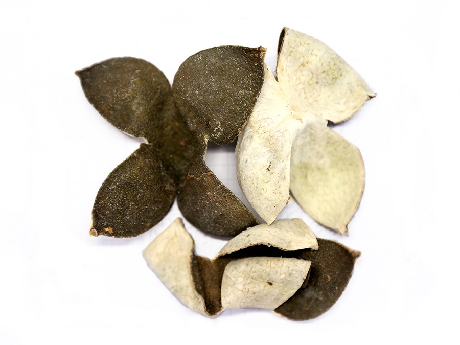 Green tangerine peel